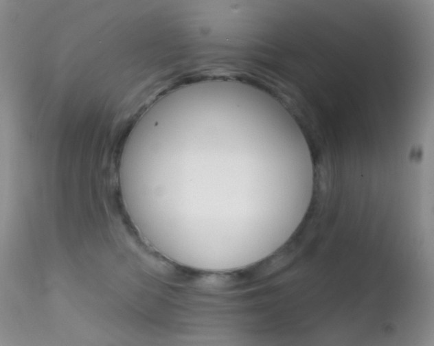 X0000113200422200909100927