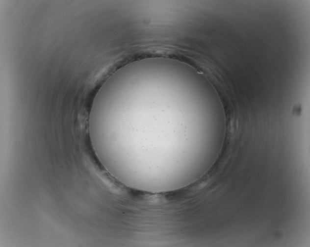 X0000113200424200909100927