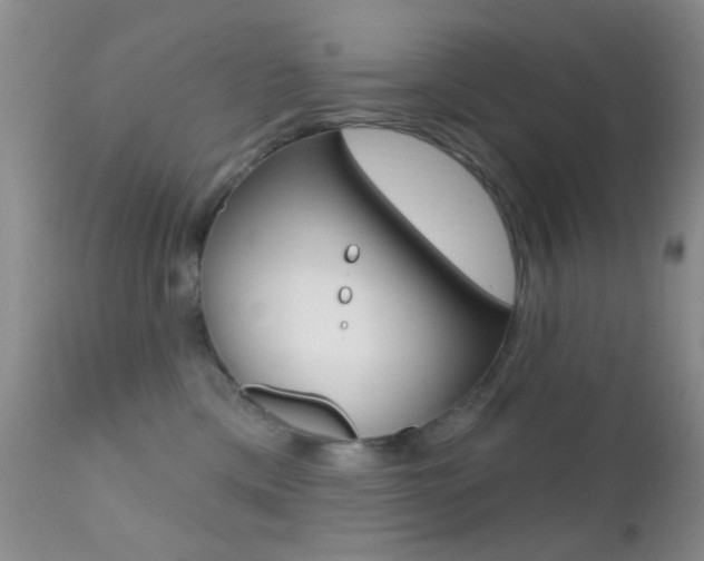 X0000113200425200909100927