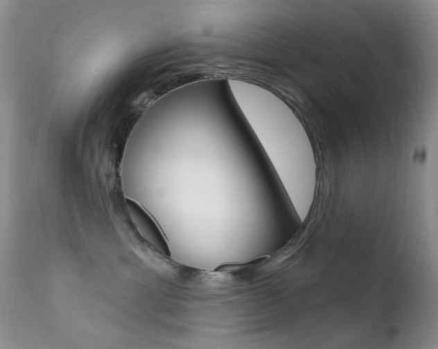 X0000113200429200909100926