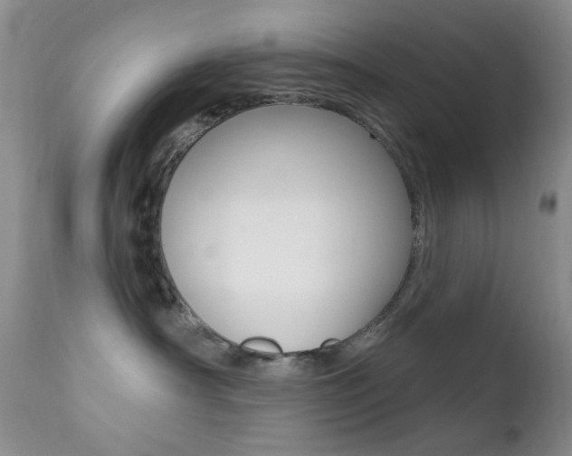 X0000113200430200909100926