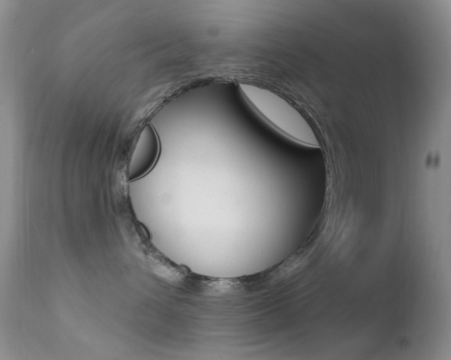 X0000113200432200909100926