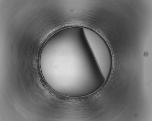 X0000113200434200909100925