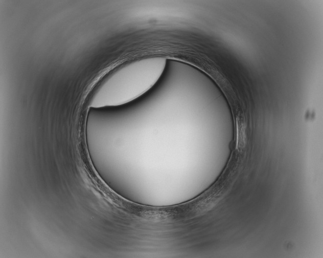 X0000113200435200909100925