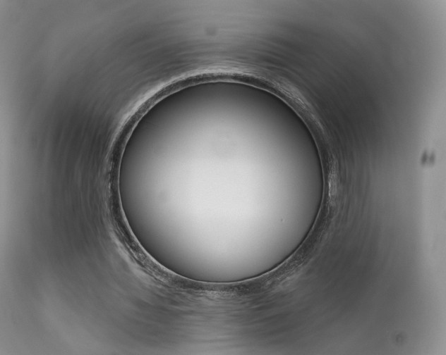 X0000113200436200909100925