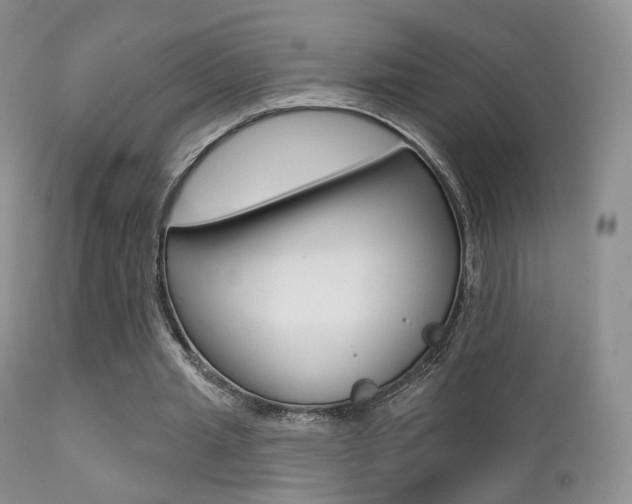 X0000113200437200909100926