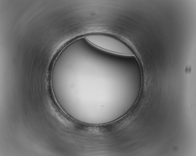 X0000113200439200909100926