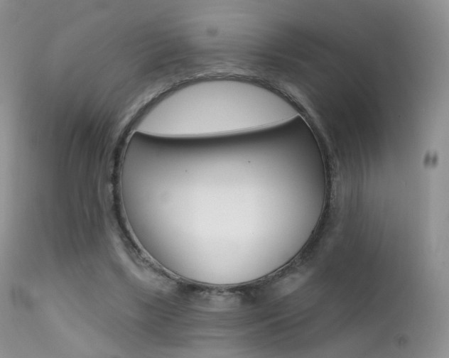X0000113200443200909100926