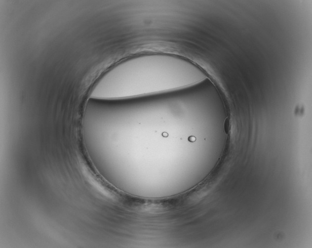 X0000113200445200909100926