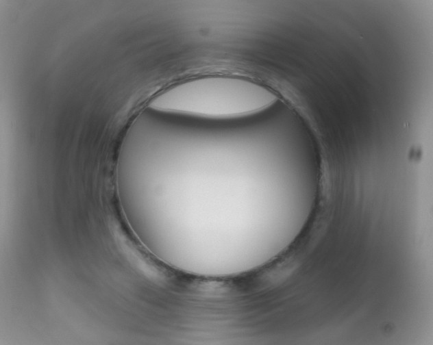X0000113200449200909100926