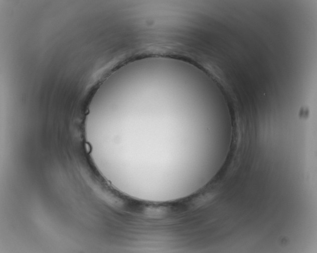 X0000113200450200909100926