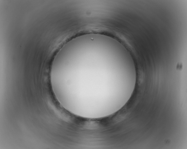 X0000113200451200909100926