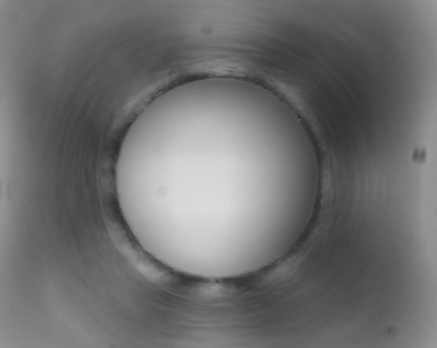 X0000113200453200909100926