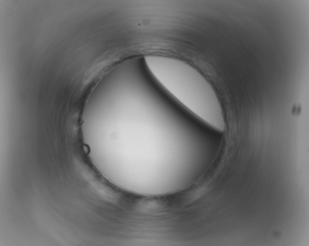 X0000113200454200909100926