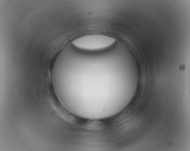 X0000113200459200909100926
