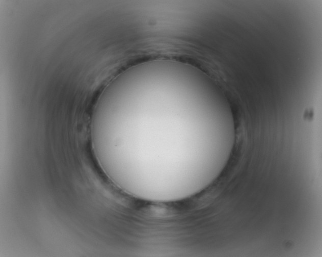 X0000113200464200909100926