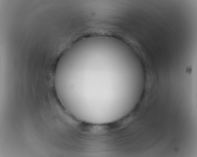 X0000113200465200909100926