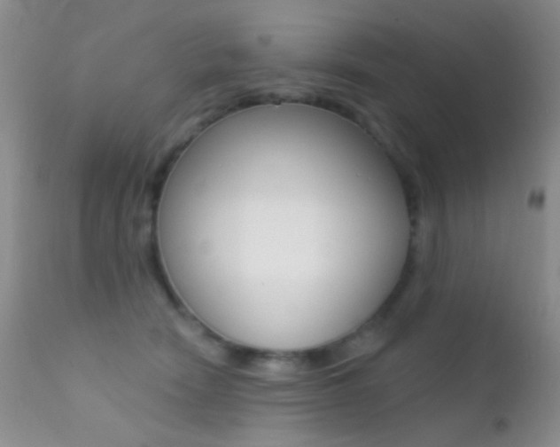 X0000113200466200909100926