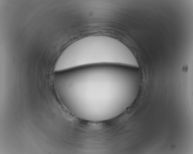 X0000113200469200909100926