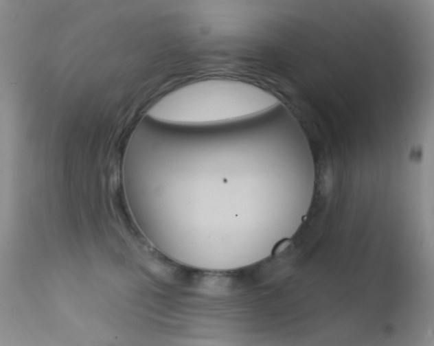 X0000113200471200909100926