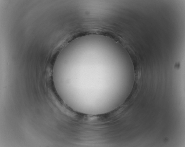 X0000113200472200909100926