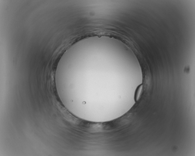 X0000113200473200909100926