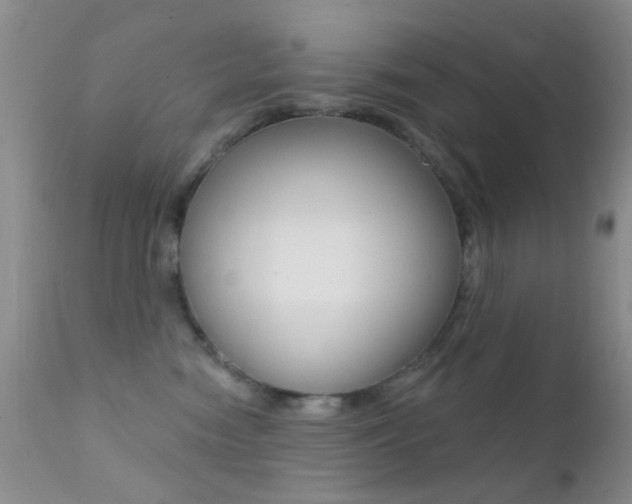 X0000113200474200909100926