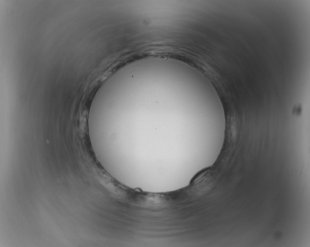 X0000113200475200909100926