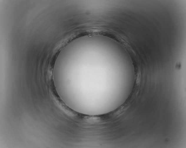 X0000113200476200909100926