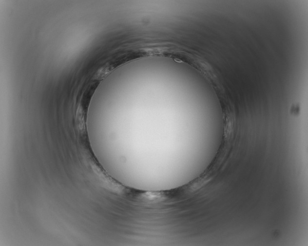 X0000113200477200909100926