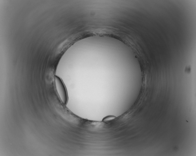 X0000113200478200909100926