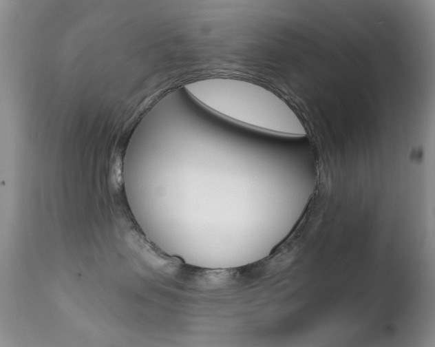 X0000113200479200909100926