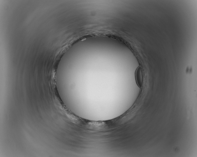 X0000113200480200909100926