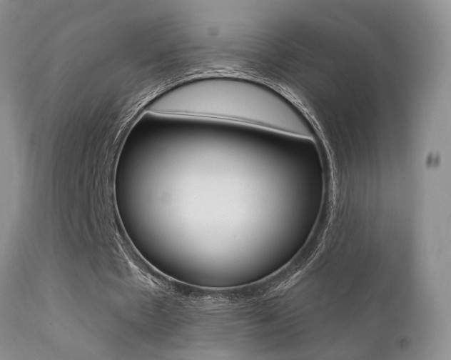X0000113200481200909100925