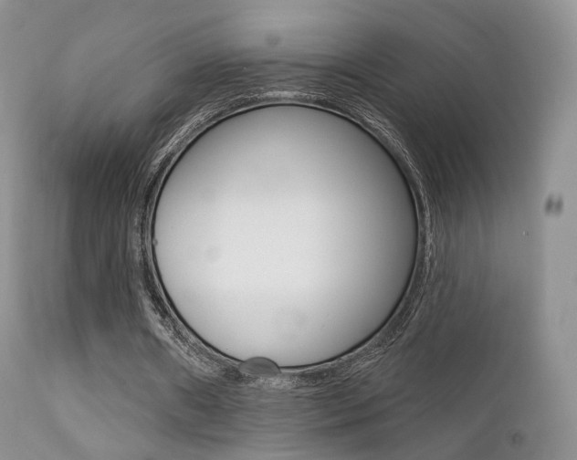 X0000113200482200909100925