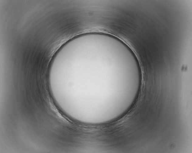 X0000113200485200909100925