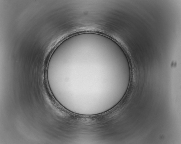X0000113200486200909100925