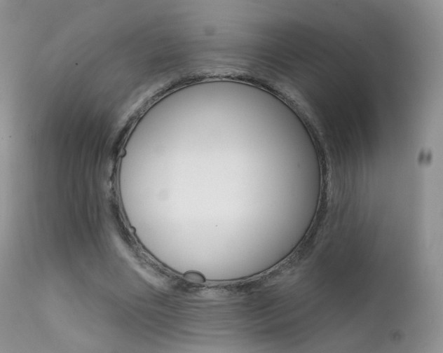 X0000113200490200909100925