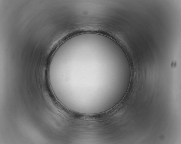 X0000113200491200909100925