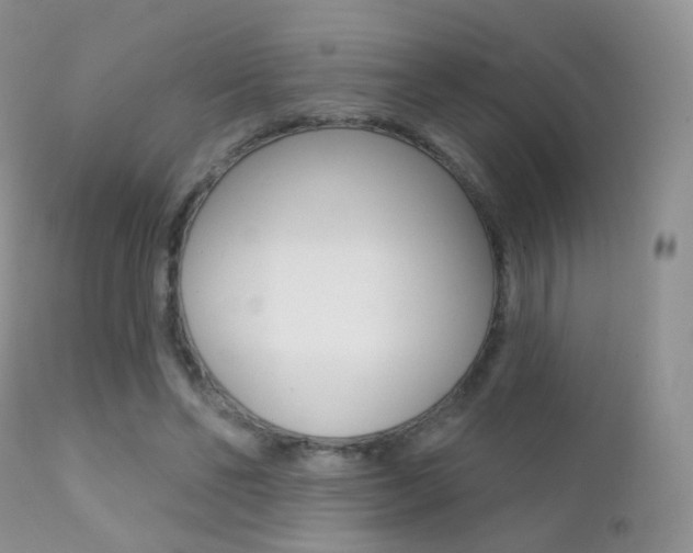 X0000113200494200909100925