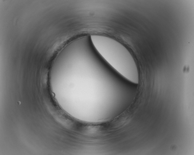 X0000113200495200909100925