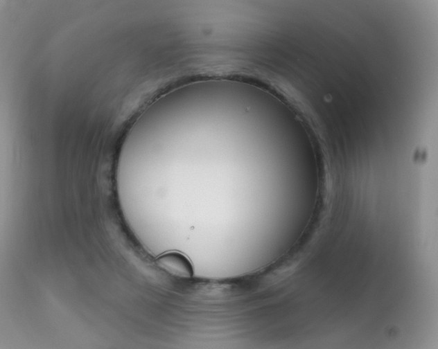 X0000113200497200909100925
