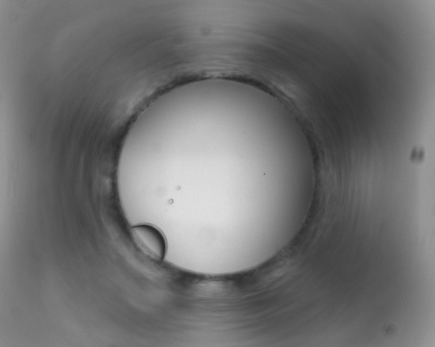 X0000113200499200909100925