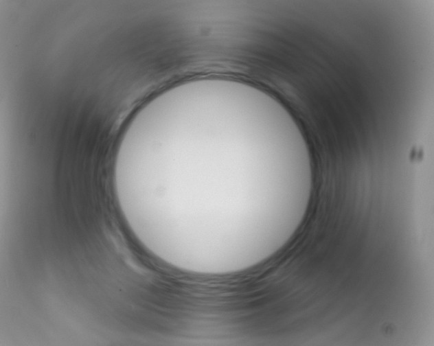 X0000113200500200909100925