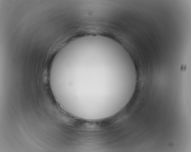 X0000113200502200909100925