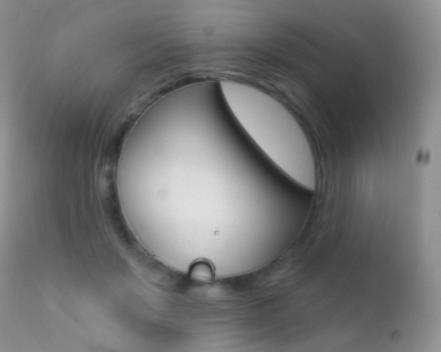 X0000113200503200909100925