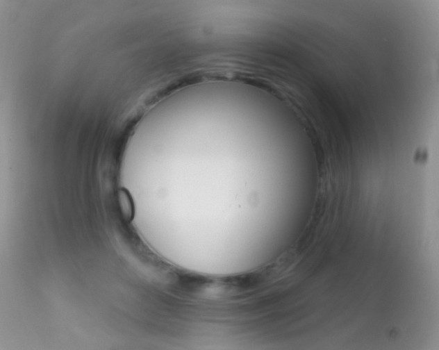 X0000113200504200909100925