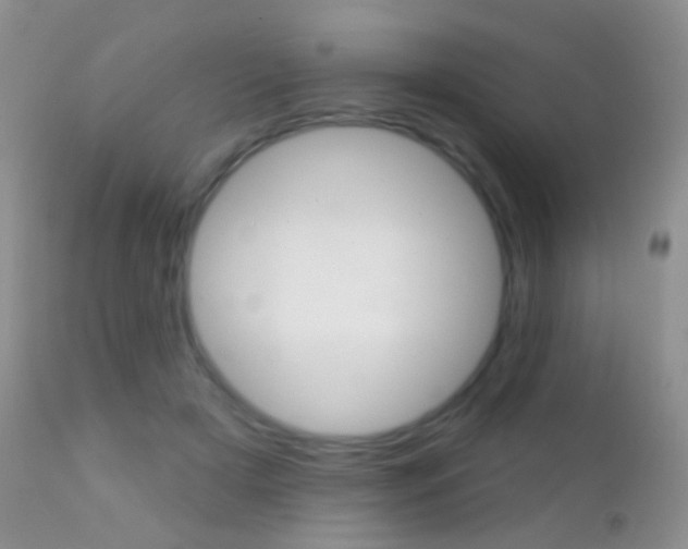 X0000113200505200909100925
