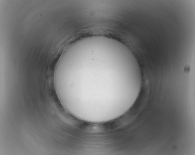 X0000113200506200909100925