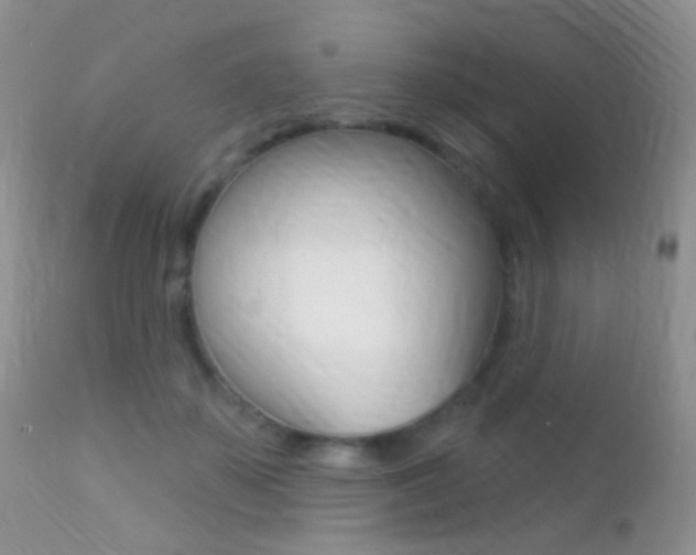 X0000113200507200909100925
